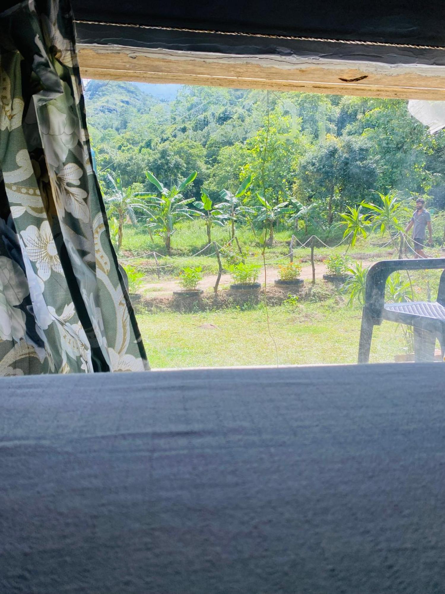 The Forest Edge Resort Dambulla Eksteriør bilde